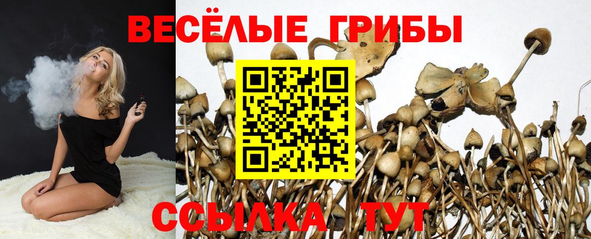 Галлюциногенные грибы ЛСД  Вход с VPN  Гусев  магазин  наркотиков  Псилоцибиновые грибы ЛСД 